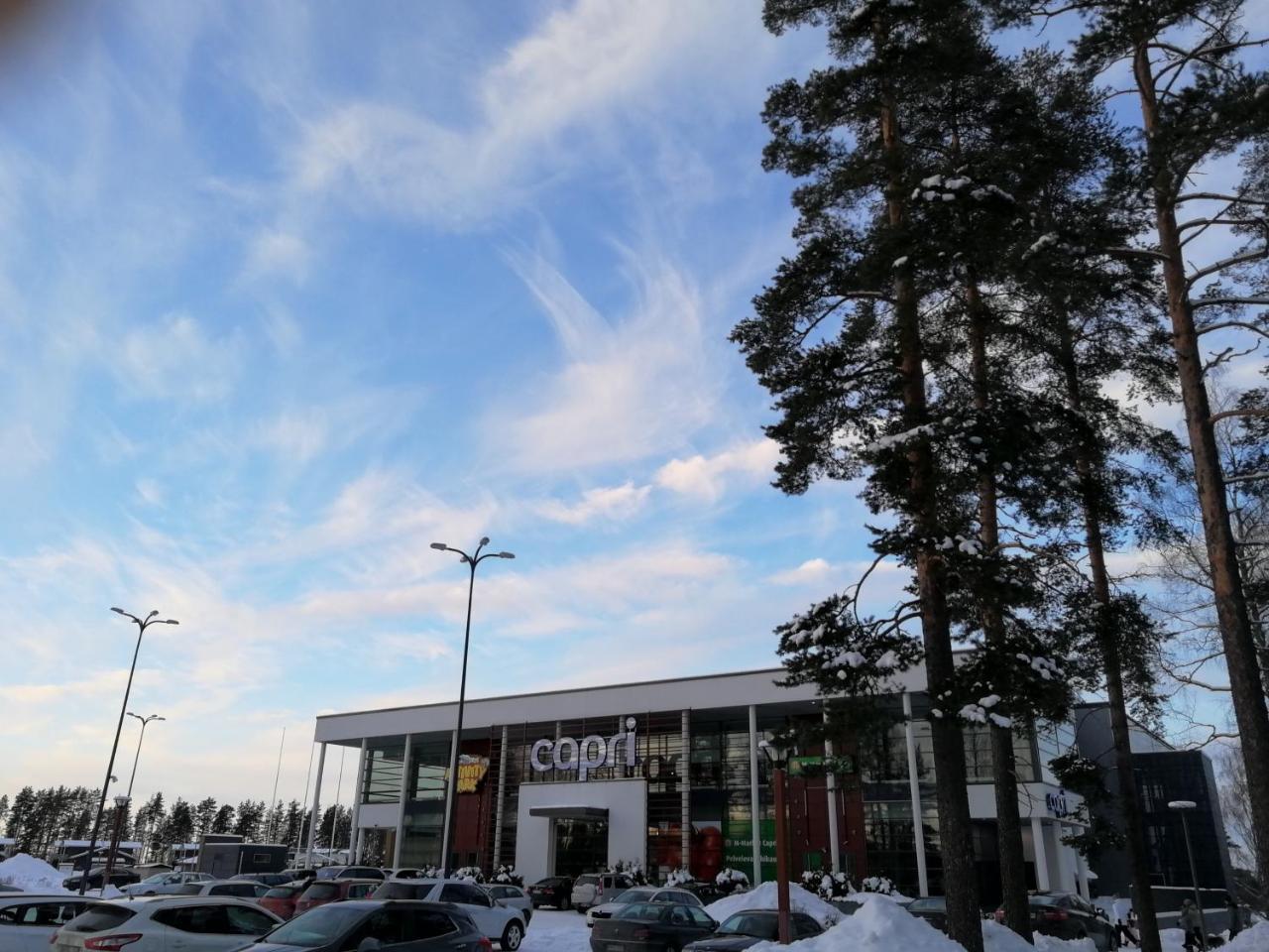 Marina Holiday Honka Village Apartments 이마트라 외부 사진